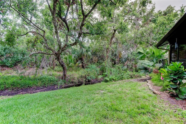 2913 Fig Ct, Palm Harbor, FL 34684 - view of grassy yard with a wooded view