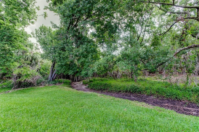 2913 Fig Ct, Palm Harbor, FL 34684 - view of green lawn