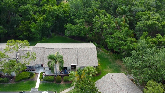 2913 Fig Ct, Palm Harbor, FL 34684 - view from above of property