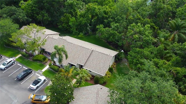 2913 Fig Ct, Palm Harbor, FL 34684 - view of subject property
