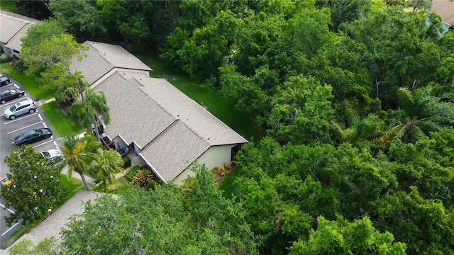 2913 Fig Ct, Palm Harbor, FL 34684 - view from above of property