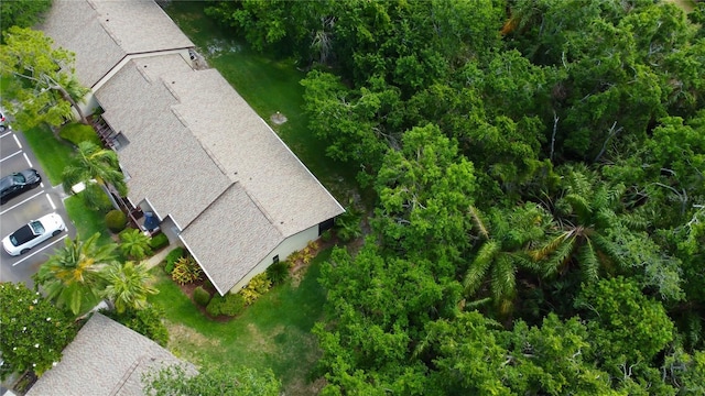 2913 Fig Ct, Palm Harbor, FL 34684 - aerial view of property and surrounding area