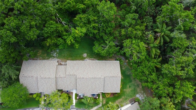 2913 Fig Ct, Palm Harbor, FL 34684 - view of subject property