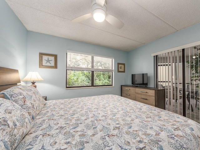 105 Woodlake Wynde, Oldsmar, FL 34677 - photo 14