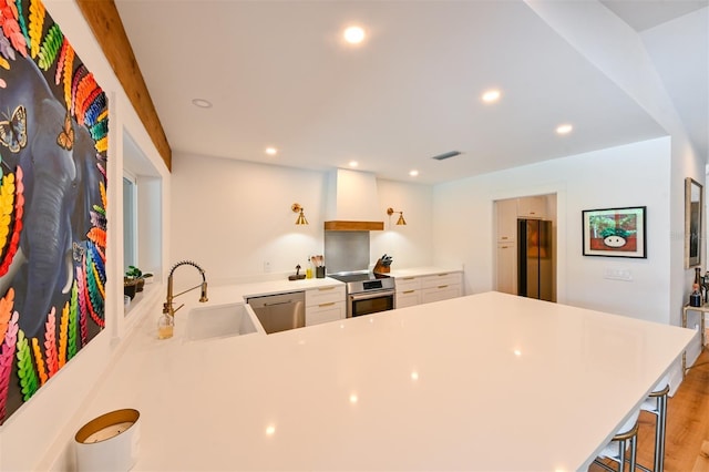13916 Wellesford Way, Tampa, FL 33624 - kitchen featuring a sink, appliances with stainless steel finishes, custom range hood, light countertops, and a peninsula