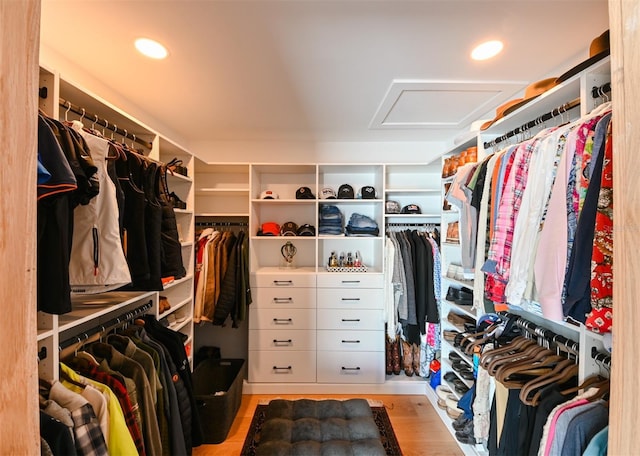 13916 Wellesford Way, Tampa, FL 33624 - spacious closet featuring attic access and wood finished floors
