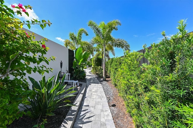 13916 Wellesford Way, Tampa, FL 33624 - view of yard
