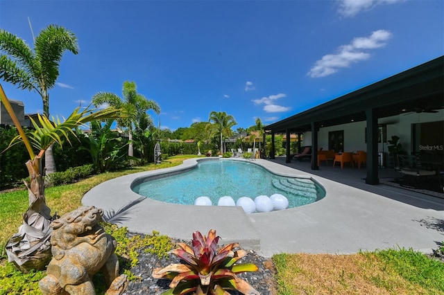 13916 Wellesford Way, Tampa, FL 33624 - outdoor pool with a patio area