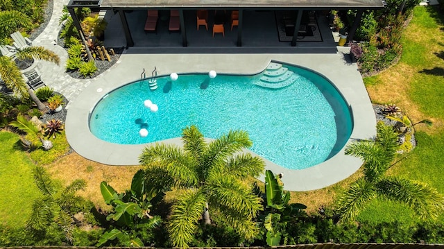 13916 Wellesford Way, Tampa, FL 33624 - outdoor pool featuring a patio area