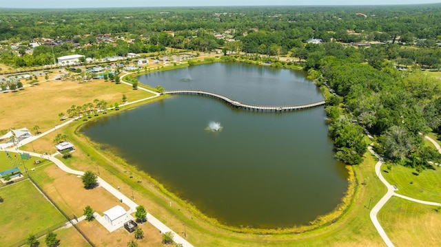 13916 Wellesford Way, Tampa, FL 33624 - drone / aerial view of a large body of water and a heavily wooded area
