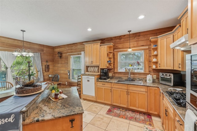 5817 Myrtle Ln, Tampa, FL 33625 - kitchen with dishwasher, open shelves, a sink, recessed lighting, and dark stone countertops