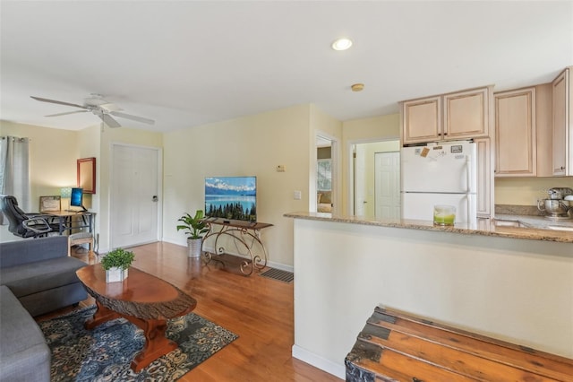 5817 Myrtle Ln, Tampa, FL 33625 - kitchen with freestanding refrigerator, light wood-type flooring, a ceiling fan, light stone counters, and recessed lighting
