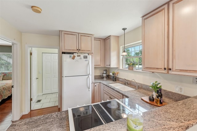 5817 Myrtle Ln, Tampa, FL 33625 - kitchen featuring freestanding refrigerator, a sink, plenty of natural light, and light stone countertops