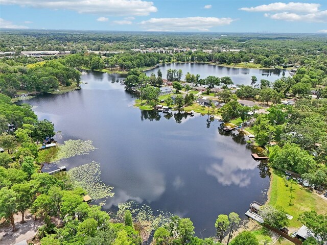 5817 Myrtle Ln, Tampa, FL 33625 - bird's eye view of a large body of water and a forest