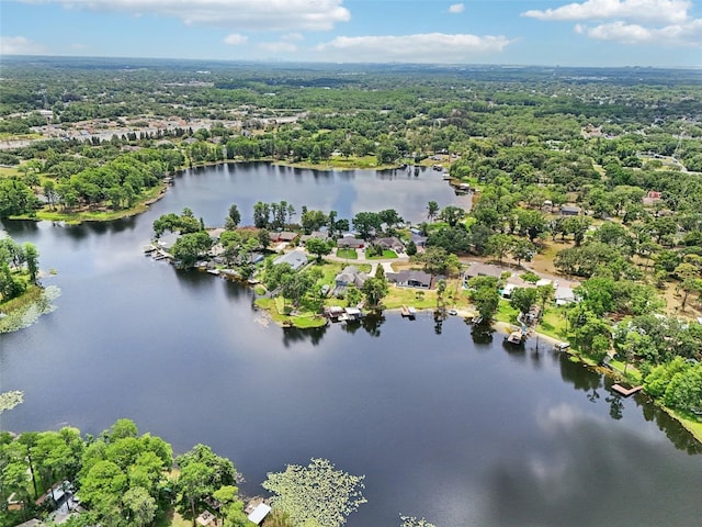 5817 Myrtle Ln, Tampa, FL 33625 - aerial view of a large body of water and a heavily wooded area