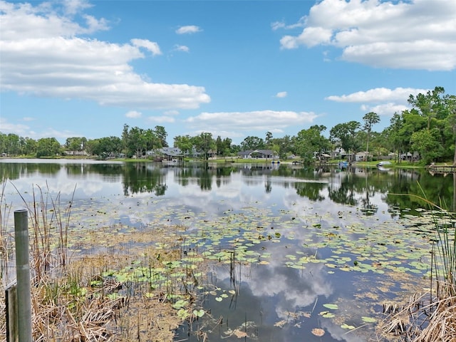 5817 Myrtle Ln, Tampa, FL 33625 - water view