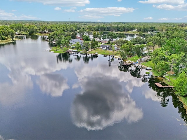 5817 Myrtle Ln, Tampa, FL 33625 - bird's eye view of a forest and a nearby body of water