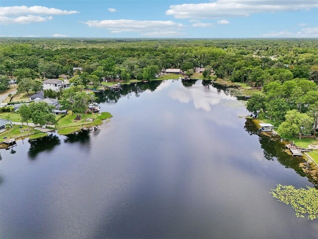 5817 Myrtle Ln, Tampa, FL 33625 - drone / aerial view of a forest and a large body of water