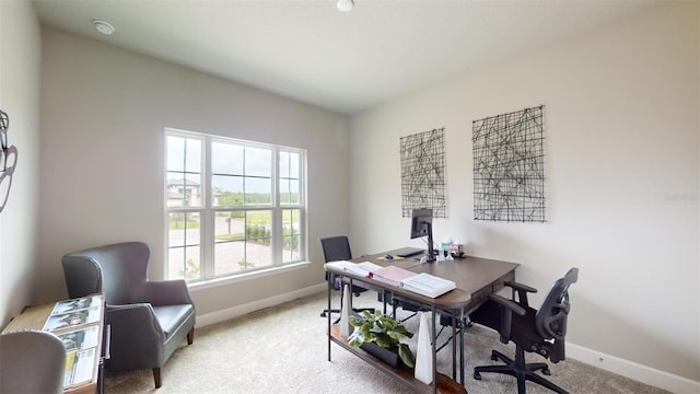 426 Bourganville Dr, Palm Coast, FL 32137 - office space featuring baseboards and light colored carpet