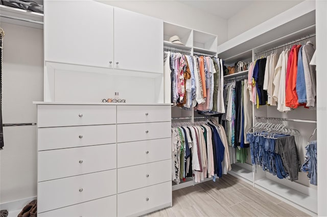 4166 Epic Cv, Land O Lakes, FL 34638 - spacious closet with light wood finished floors