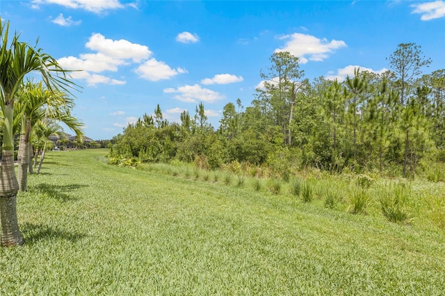4166 Epic Cv, Land O Lakes, FL 34638 - view of green lawn