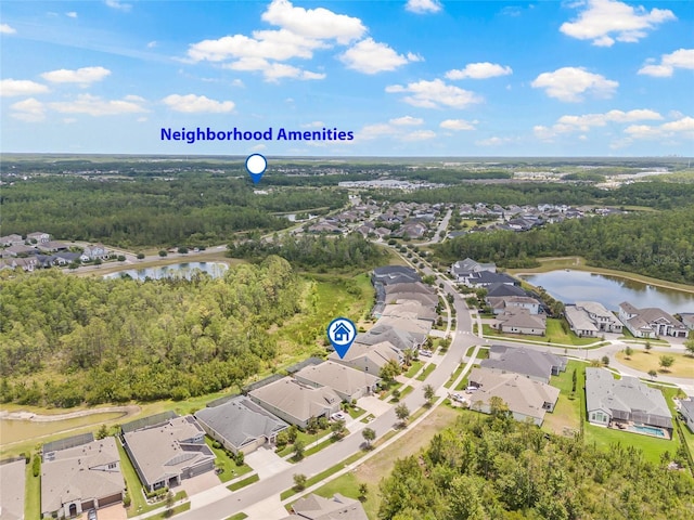 4166 Epic Cv, Land O Lakes, FL 34638 - aerial view of property's location with a nearby body of water, nearby suburban area, and a heavily wooded area