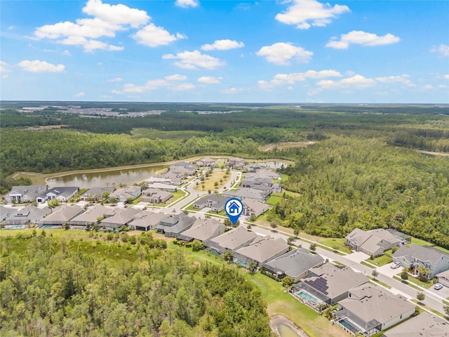 4166 Epic Cv, Land O Lakes, FL 34638 - aerial perspective of suburban area with a heavily wooded area and a nearby body of water