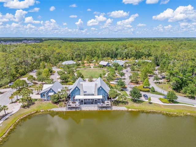 4166 Epic Cv, Land O Lakes, FL 34638 - aerial view of a heavily wooded area and a large body of water