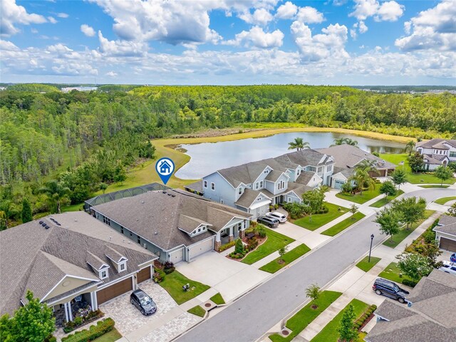 16712 Courtyard Loop, Land O Lakes, FL 34638 - aerial view of residential area featuring a forest and a nearby body of water