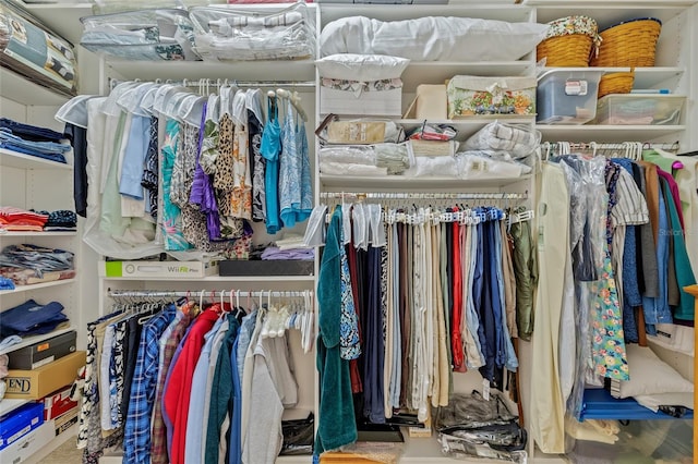16712 Courtyard Loop, Land O Lakes, FL 34638 - view of walk in closet