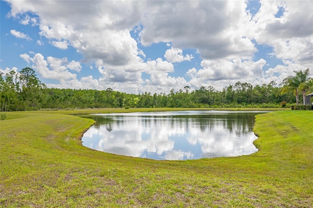 16712 Courtyard Loop, Land O Lakes, FL 34638 - water view with a forest