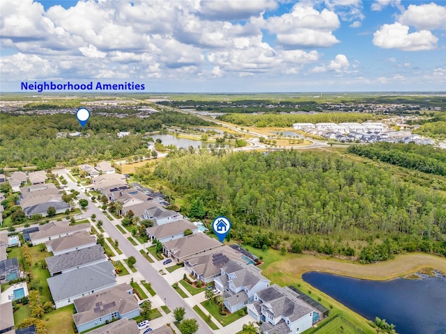16712 Courtyard Loop, Land O Lakes, FL 34638 - aerial perspective of suburban area with a nearby body of water and a heavily wooded area