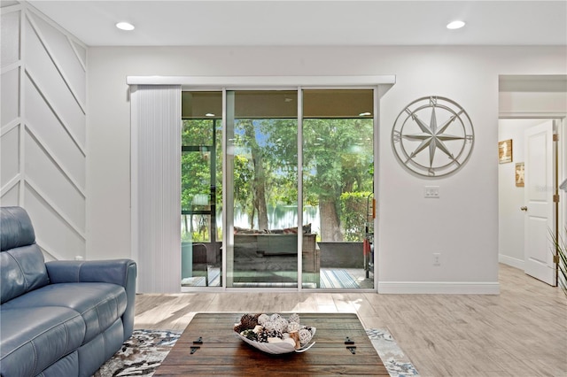 14110 Damselfly Dr, Tampa, FL 33625 - living area featuring wood finished floors, baseboards, and recessed lighting