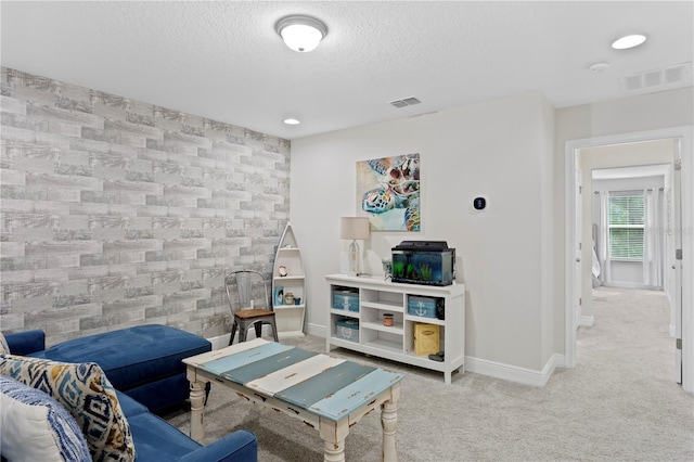 14110 Damselfly Dr, Tampa, FL 33625 - carpeted living area featuring a textured ceiling and baseboards