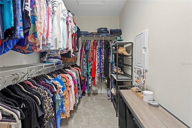 14110 Damselfly Dr, Tampa, FL 33625 - walk in closet with carpet floors and attic access