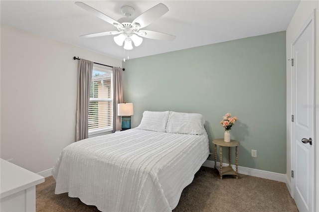 14110 Damselfly Dr, Tampa, FL 33625 - carpeted bedroom featuring baseboards and a ceiling fan