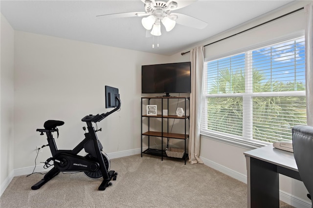 14110 Damselfly Dr, Tampa, FL 33625 - exercise room with carpet floors, ceiling fan, and baseboards