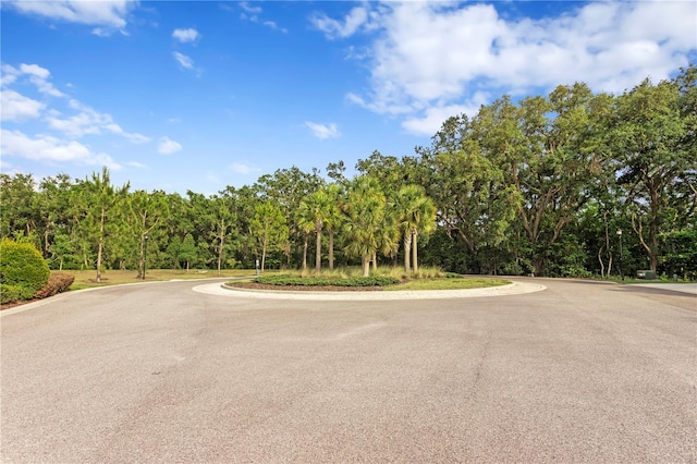 14110 Damselfly Dr, Tampa, FL 33625 - view of asphalt road