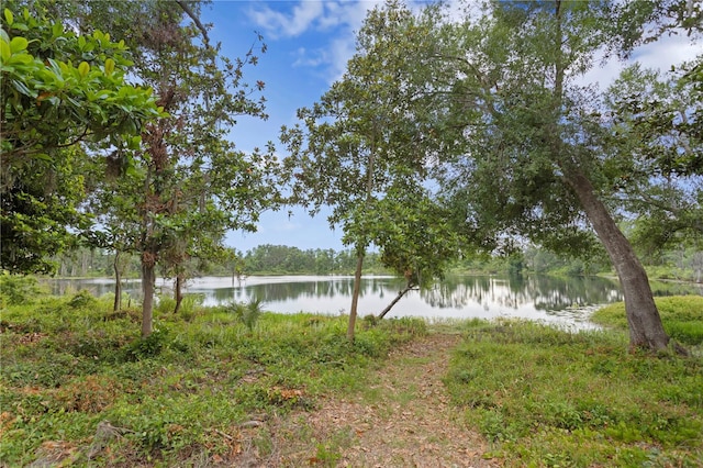 14110 Damselfly Dr, Tampa, FL 33625 - view of yard featuring a water view