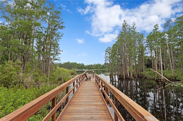 14110 Damselfly Dr, Tampa, FL 33625 - dock with a water view and a wooded view