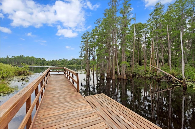 14110 Damselfly Dr, Tampa, FL 33625 - dock with a water view