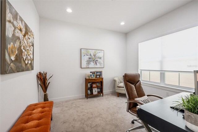 911 S Sterling Ave, Tampa, FL 33629 - photo 32