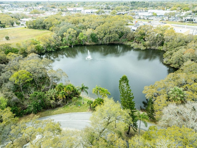 aerial view of property's location with a nearby body of water