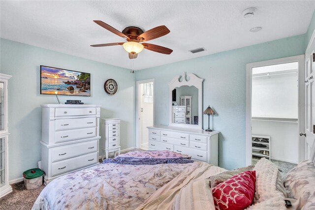 2620 49th Ave N, Saint Petersburg, FL 33714 - photo 21