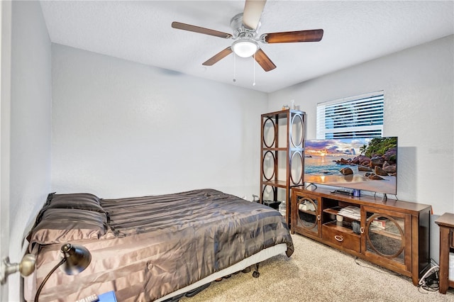 2620 49th Ave N, Saint Petersburg, FL 33714 - photo 28