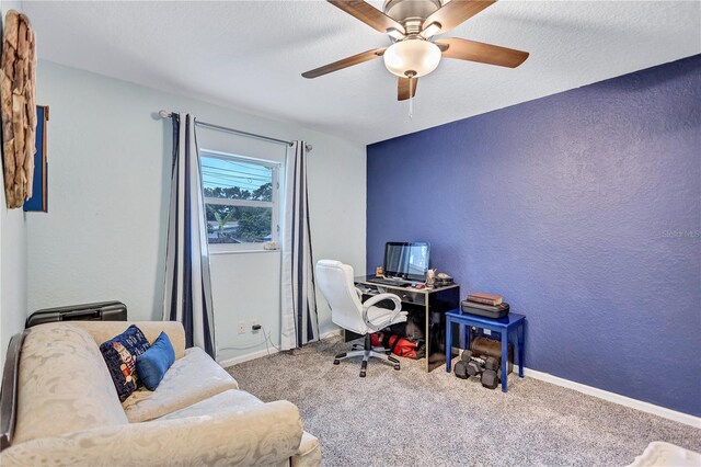 2620 49th Ave N, Saint Petersburg, FL 33714 - photo 29