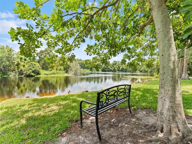 6820 Muncaster Ct, Tampa, FL 33625 - photo 46