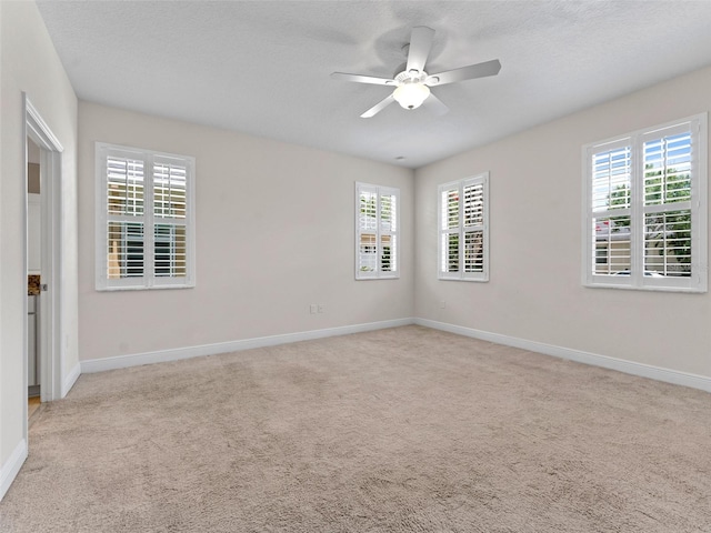 6820 Muncaster Ct, Tampa, FL 33625 - photo 15