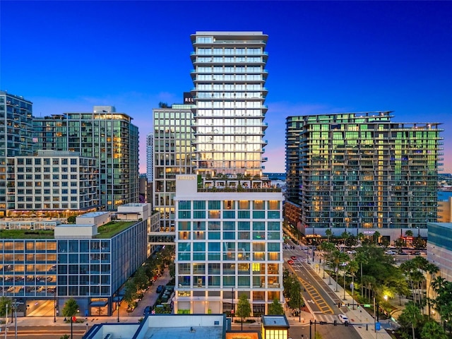 1020 85th Ave N Unit 223, Saint Petersburg, FL 33702 - view of city