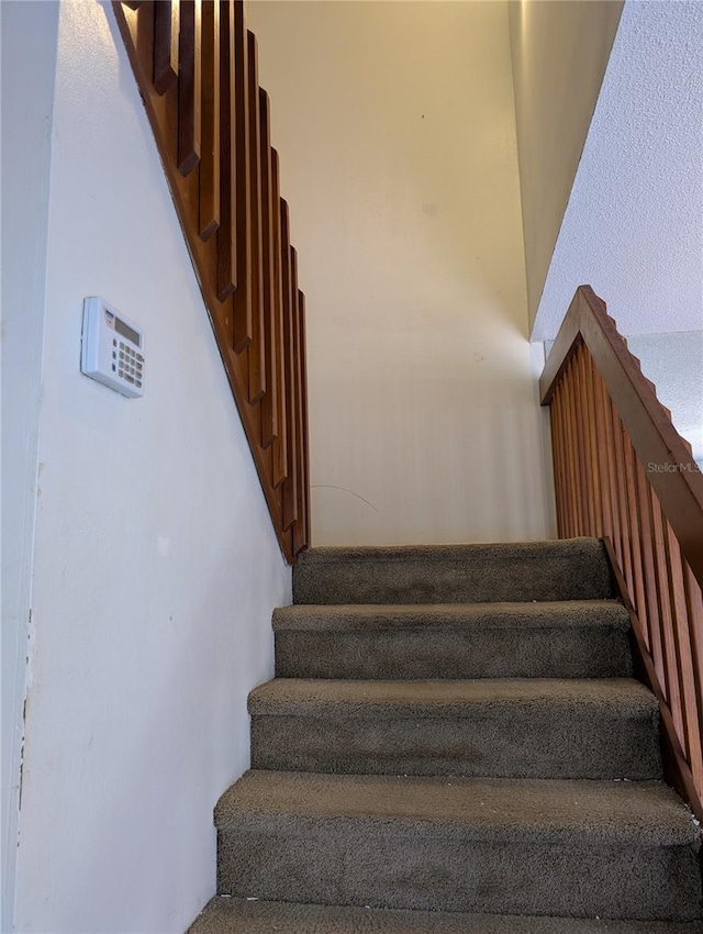 8114 Oak Trace Way Unit D, Tampa, FL 33634 - view of stairs